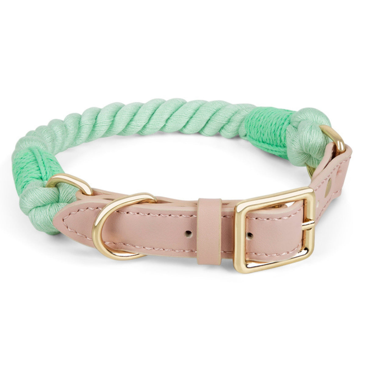 GREEN GINGER Hundehalsband (mit Leder)