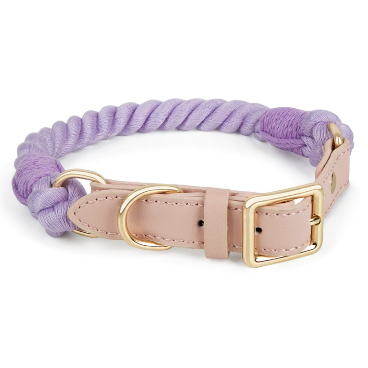 PURPLE POLLY Hundehalsband (mit Leder)