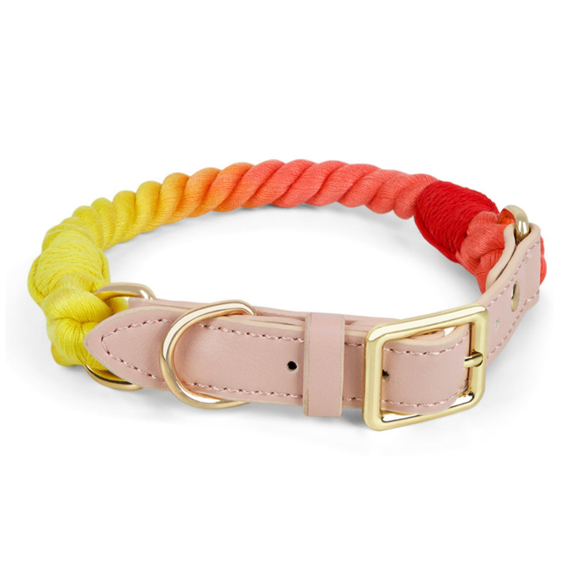 RAINBOW RUDI Hundehalsband (mit Leder)