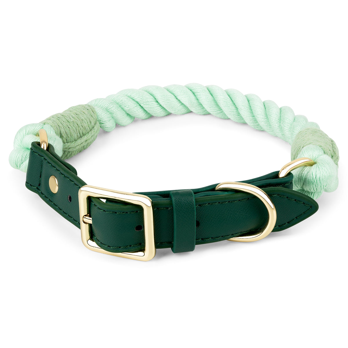 GREEN GUSTAV Hundehalsband (mit Leder)