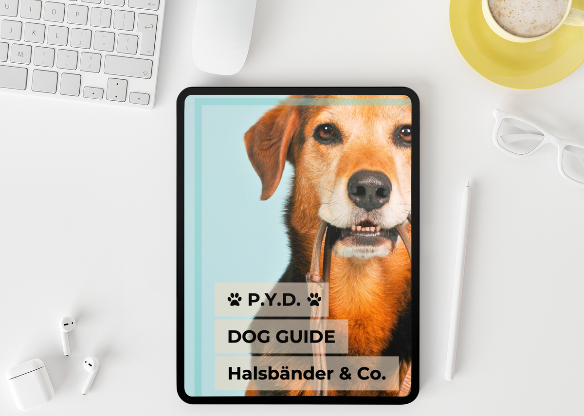 Gratis P.Y.D. DOG GUIDE Thema Halsbänder & Co.